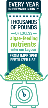 Thousands of pounds of excess, algae-feeding nutrients enter our lagoon from improper fertilizer use.