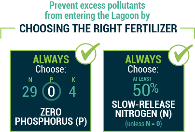 Prevent excess pollutants from entering the lagoon by choosing fertilizer with 0 Phosphorus and 50% slow-release nitrogen.
