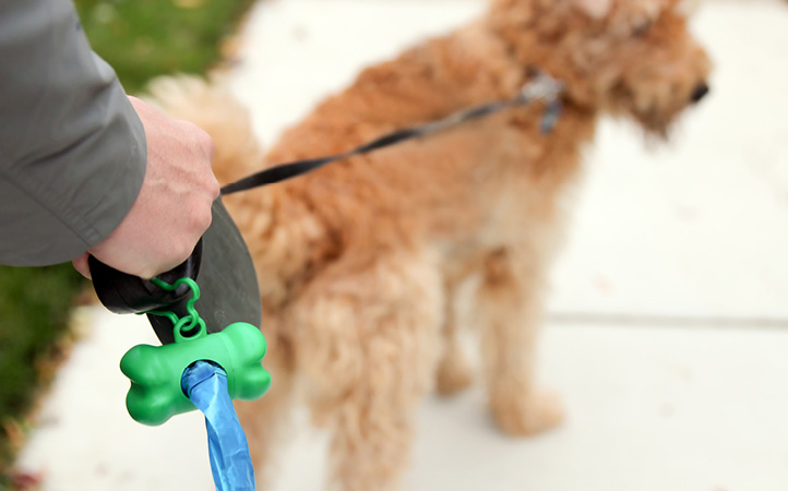 dog-leash-waste-bags722x450
