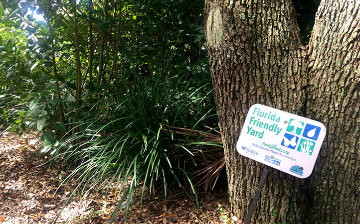 florida friendly yard of native plants
