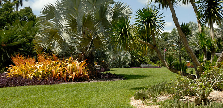 reduce turf with native landscaping