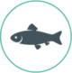 Action Complete - ORCA’s One Health Fish Monitoring Project