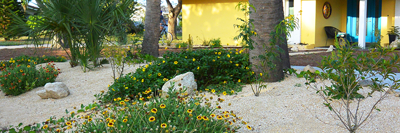 Lagoon-friendly landscaping